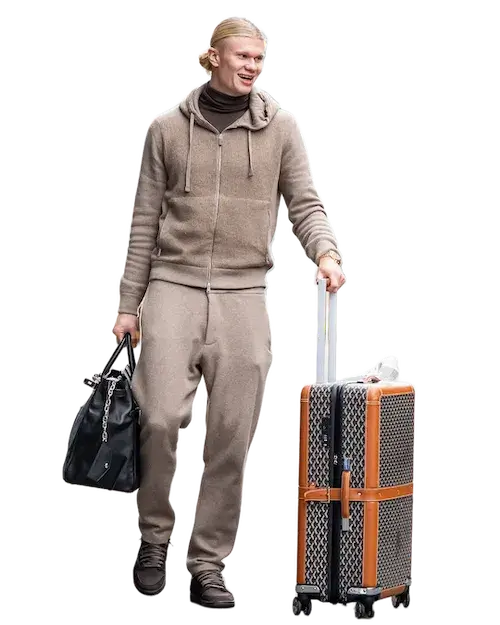 What is 1 - Bulk background remover original